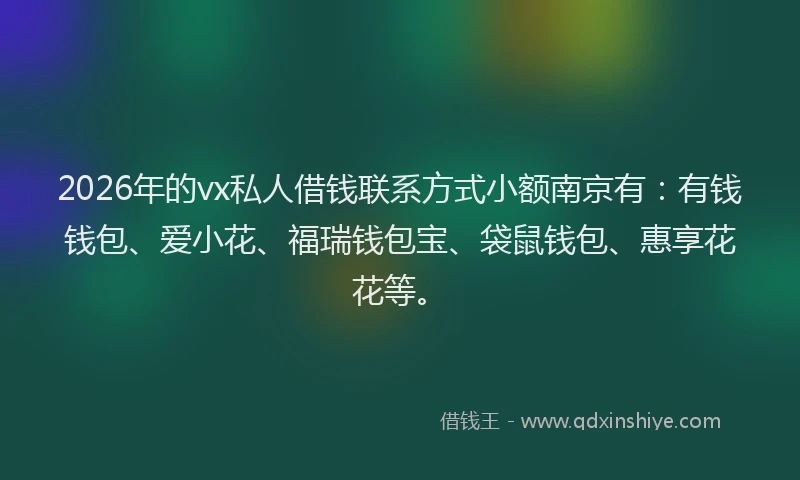 2026年的vx私人借钱联系方式小额南京有：有钱钱包、爱小花、福瑞钱包宝、袋鼠钱包、惠享花花等。