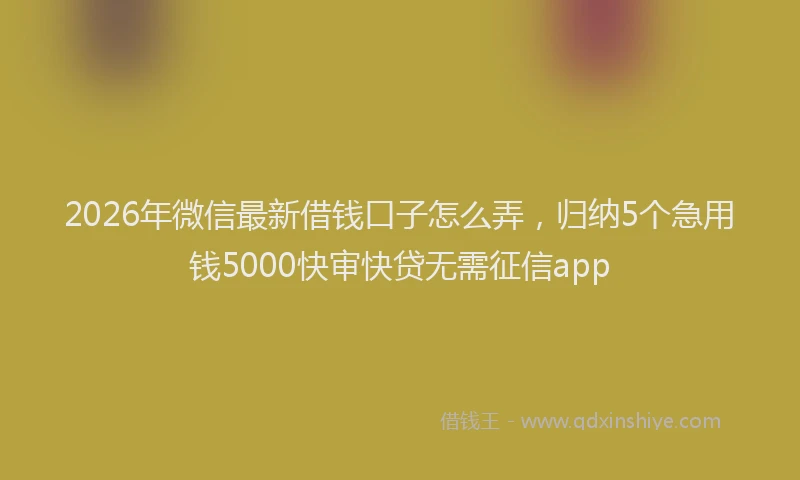 2026年微信最新借钱口子怎么弄,归纳5个急用钱5000快审快贷无需征信app