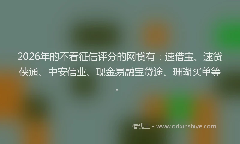 2026年的不看征信评分的网贷有:速借宝、速贷侠通、中安信业、现金易融宝贷途、珊瑚买单等。