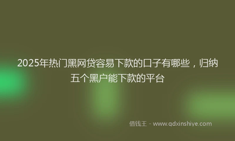 2025年热门黑网贷容易下款的口子有哪些，归纳五个黑户能下款的平台