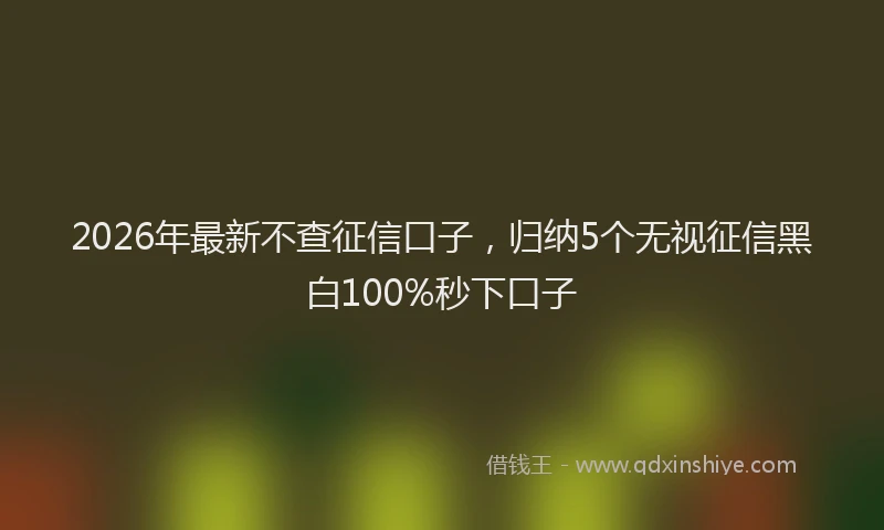 2026年最新不查征信口子，归纳5个无视征信黑白100%秒下口子