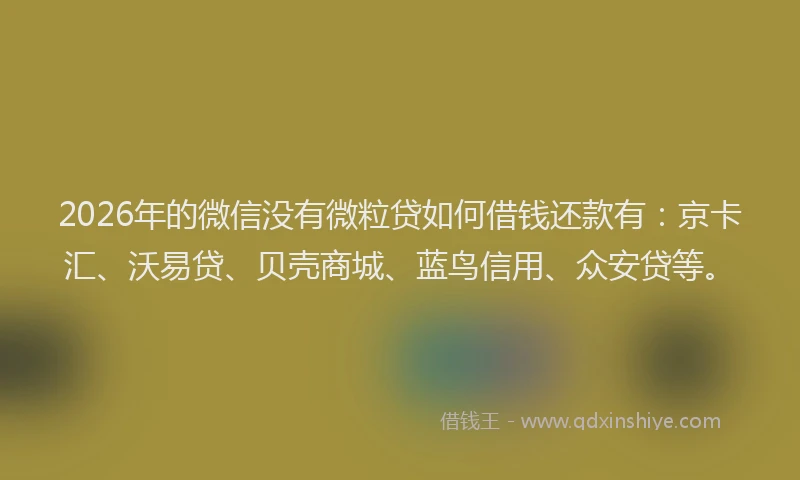 2026年的微信没有微粒贷如何借钱还款有:京卡汇、沃易贷、贝壳商城、蓝鸟信用、众安贷等。