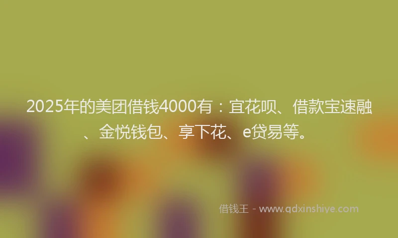 2025年的美团借钱4000有：宜花呗、借款宝速融、金悦钱包、享下花、e贷易等。