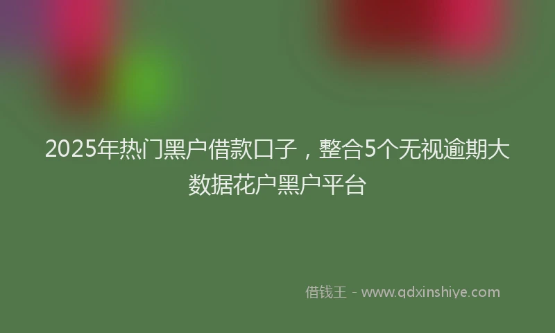 2025年热门黑户借款口子，整合5个无视逾期大数据花户黑户平台