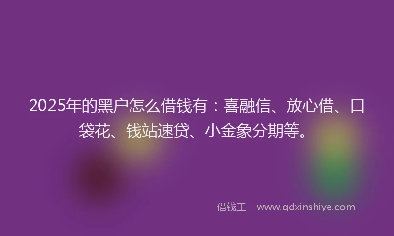 2025年的黑户怎么借钱有：喜融信、放心借、口袋花、钱站速贷、小金象分期等。
