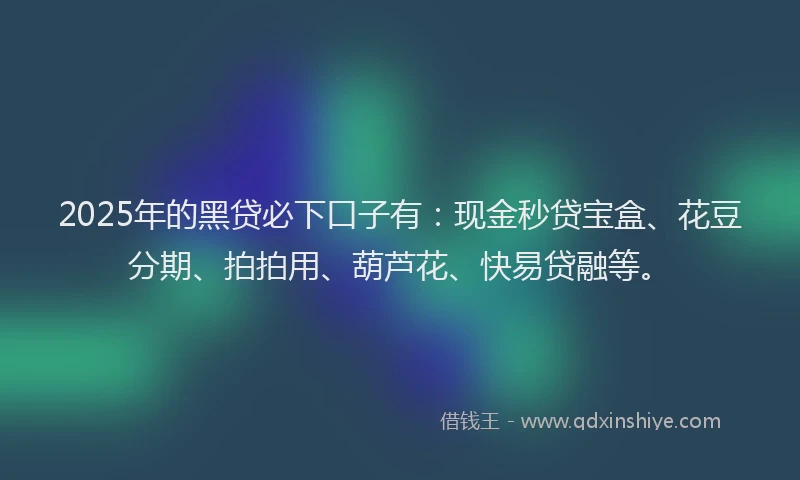 2025年的黑贷必下口子有：现金秒贷宝盒、花豆分期、拍拍用、葫芦花、快易贷融等。