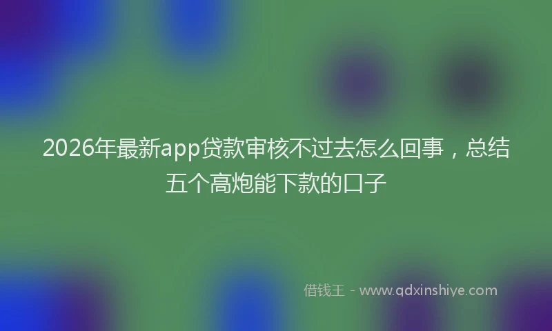 2026年最新app贷款审核不过去怎么回事,总结五个高炮能下款的口子