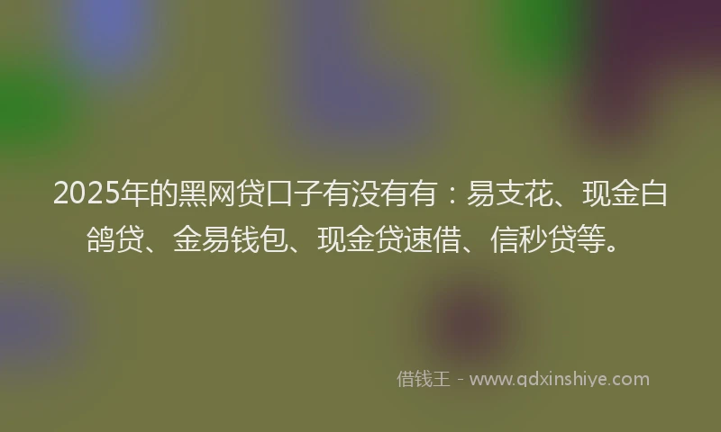 2025年的黑网贷口子有没有有：易支花、现金白鸽贷、金易钱包、现金贷速借、信秒贷等。