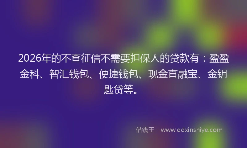 2026年的不查征信不需要担保人的贷款有:盈盈金科、智汇钱包、便捷钱包、现金直融宝、金钥匙贷等。