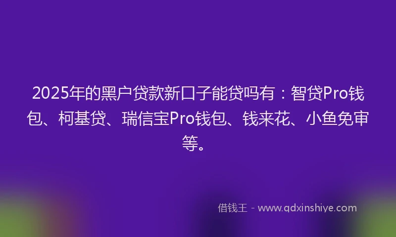 2025年的黑户贷款新口子能贷吗有：智贷Pro钱包、柯基贷、瑞信宝Pro钱包、钱来花、小鱼免审等。