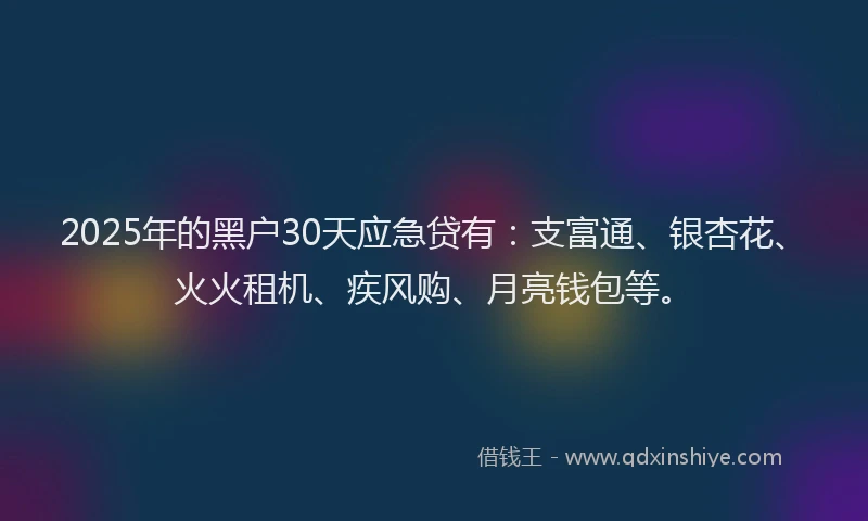 2025年的黑户30天应急贷有：支富通、银杏花、火火租机、疾风购、月亮钱包等。