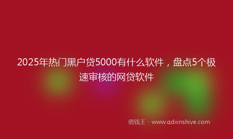 2025年热门黑户贷5000有什么软件，盘点5个极速审核的网贷软件