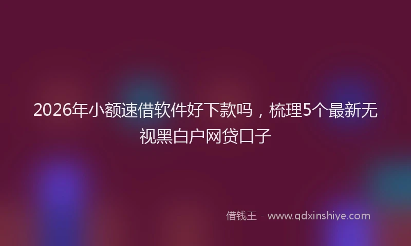 2026年小额速借软件好下款吗，梳理5个最新无视黑白户网贷口子