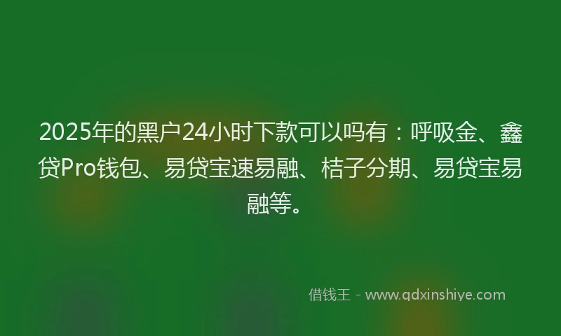 2025年的黑户24小时下款可以吗有：呼吸金、鑫贷Pro钱包、易贷宝速易融、桔子分期、易贷宝易融等。