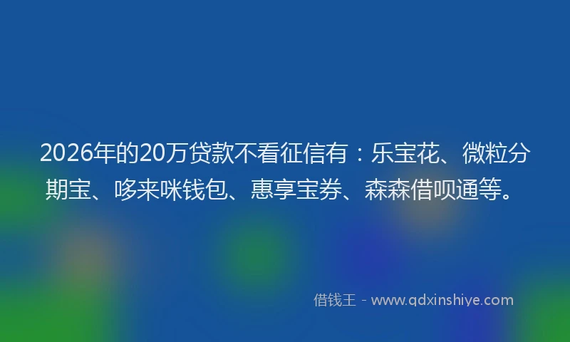 2026年的20万贷款不看征信有:乐宝花、微粒分期宝、哆来咪钱包、惠享宝券、森森借呗通等。
