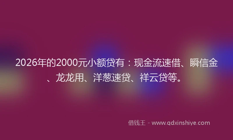 2026年的2000元小额贷有:现金流速借、瞬信金、龙龙用、洋葱速贷、祥云贷等。