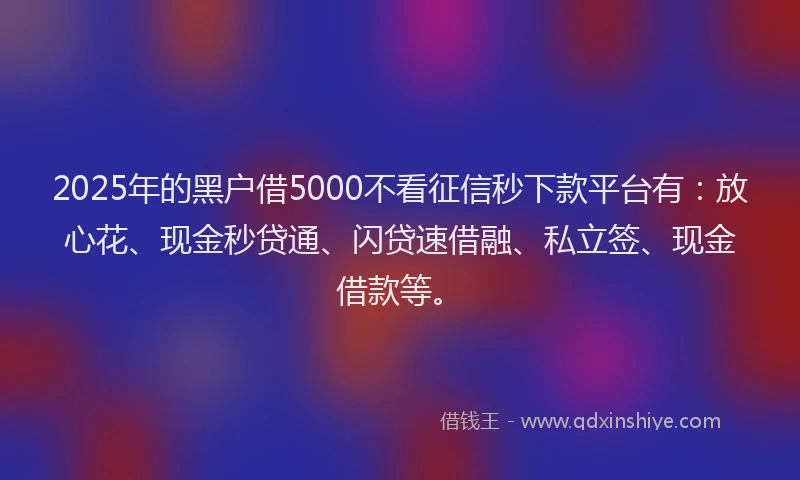 2025年的黑户借5000不看征信秒下款平台有：放心花、现金秒贷通、闪贷速借融、私立签、现金借款等。