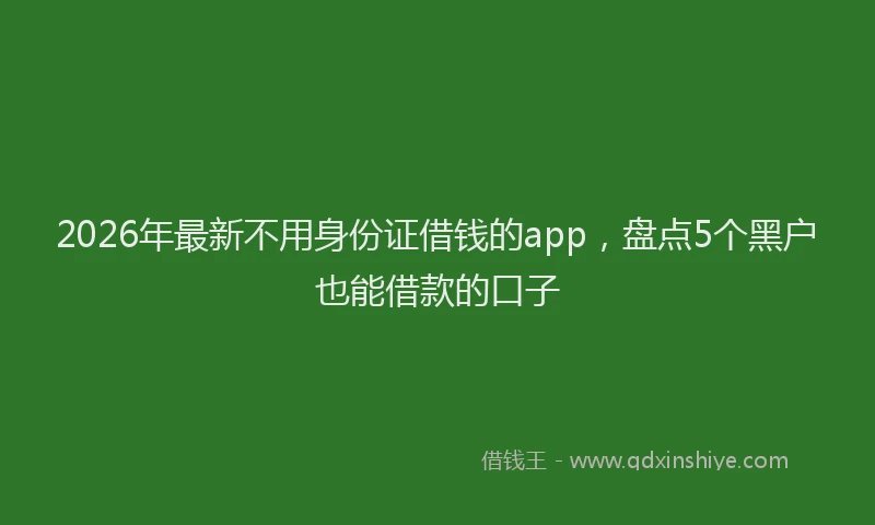 2026年最新不用身份证借钱的app,盘点5个黑户也能借款的口子