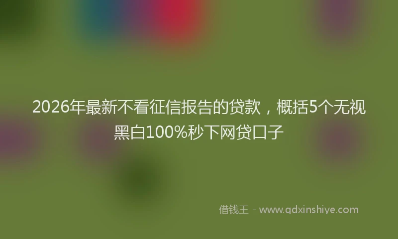 2026年最新不看征信报告的贷款，概括5个无视黑白100%秒下网贷口子