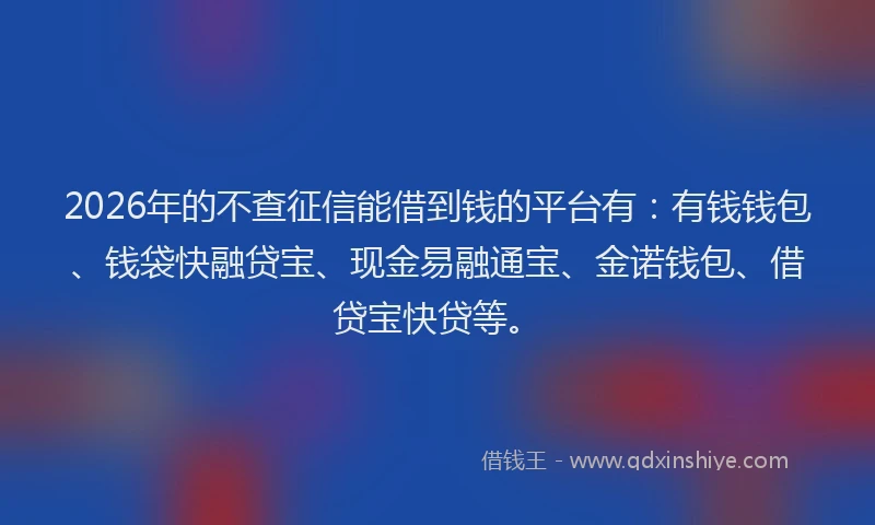2026年的不查征信能借到钱的平台有:有钱钱包、钱袋快融贷宝、现金易融通宝、金诺钱包、借贷宝快贷等。