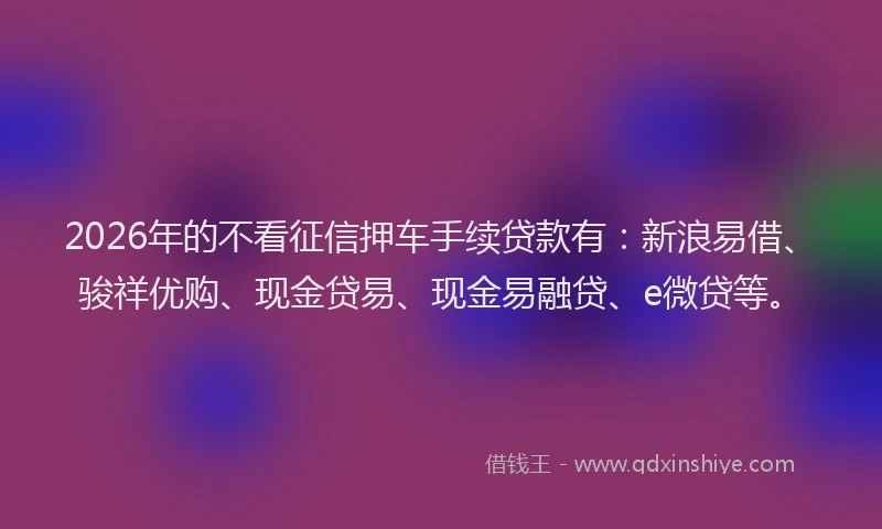 2026年的不看征信押车手续贷款有：新浪易借、骏祥优购、现金贷易、现金易融贷、e微贷等。