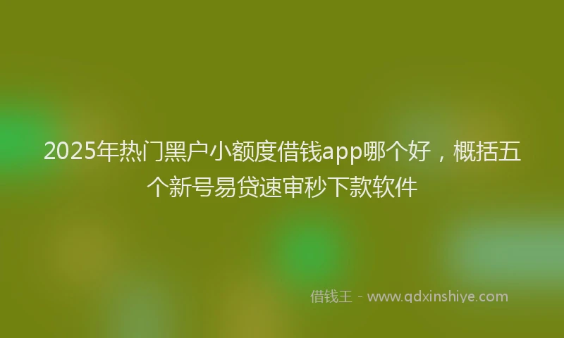 2025年热门黑户小额度借钱app哪个好，概括五个新号易贷速审秒下款软件