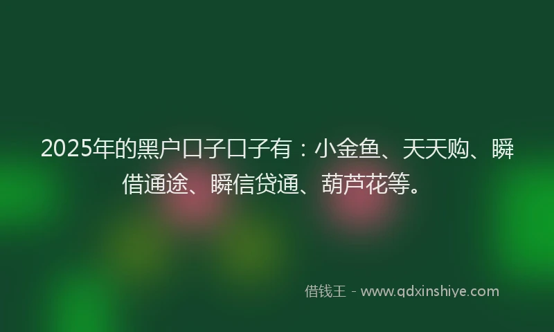 2025年的黑户口子口子有:小金鱼、天天购、瞬借通途、瞬信贷通、葫芦花等。