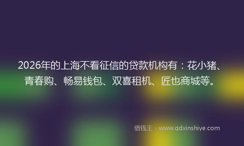 2026年的上海不看征信的贷款机构有:花小猪、青春购、畅易钱包、双喜租机、匠也商城等。