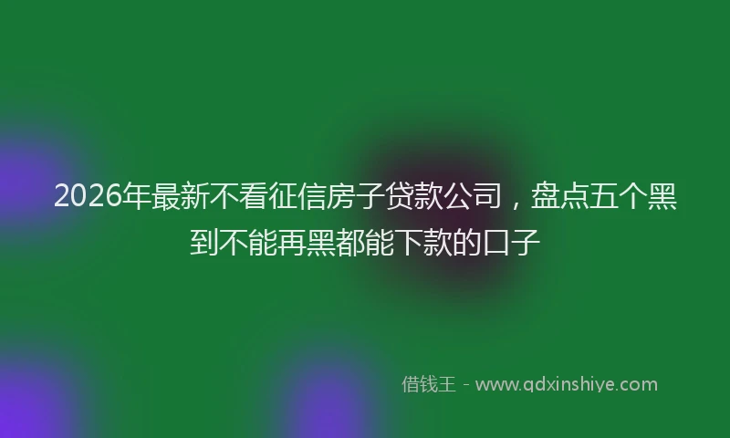 2026年最新不看征信房子贷款公司，盘点五个黑到不能再黑都能下款的口子