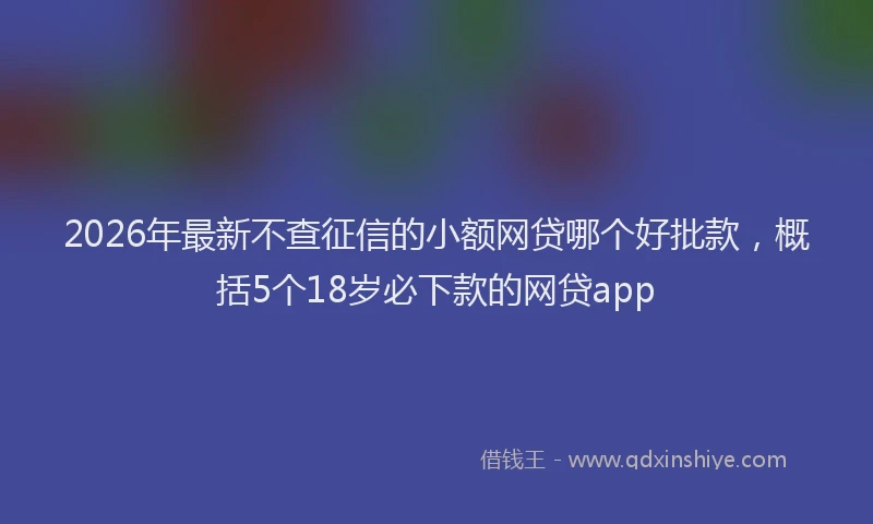 2026年最新不查征信的小额网贷哪个好批款，概括5个18岁必下款的网贷app