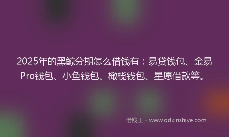 2025年的黑鲸分期怎么借钱有：易贷钱包、金易Pro钱包、小鱼钱包、橄榄钱包、星愿借款等。
