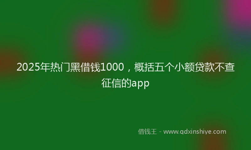 2025年热门黑借钱1000,概括五个小额贷款不查征信的app