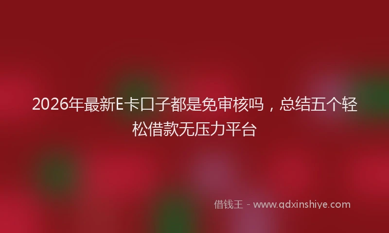 2026年最新E卡口子都是免审核吗，总结五个轻松借款无压力平台