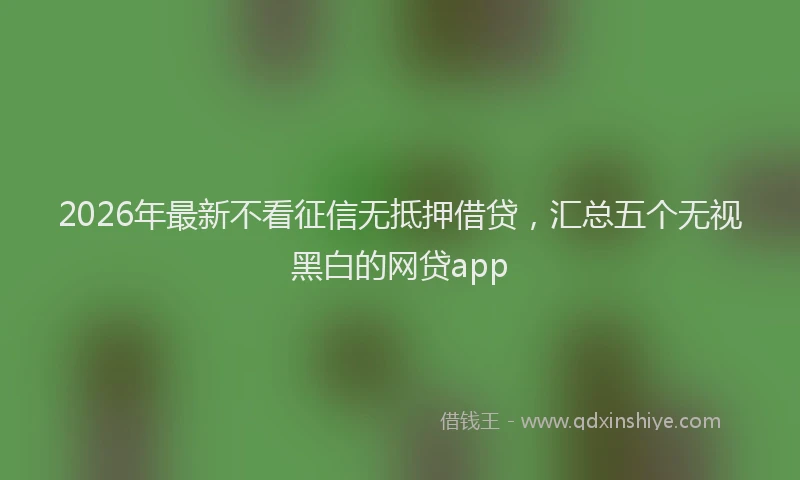 2026年最新不看征信无抵押借贷,汇总五个无视黑白的网贷app