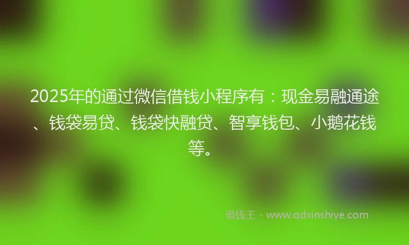 2025年的通过微信借钱小程序有：现金易融通途、钱袋易贷、钱袋快融贷、智享钱包、小鹅花钱等。