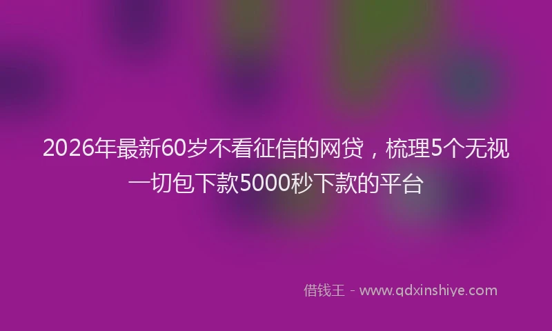2026年最新60岁不看征信的网贷，梳理5个无视一切包下款5000秒下款的平台
