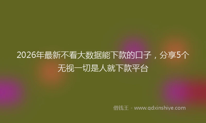 2026年最新不看大数据能下款的口子,分享5个无视一切是人就下款平台