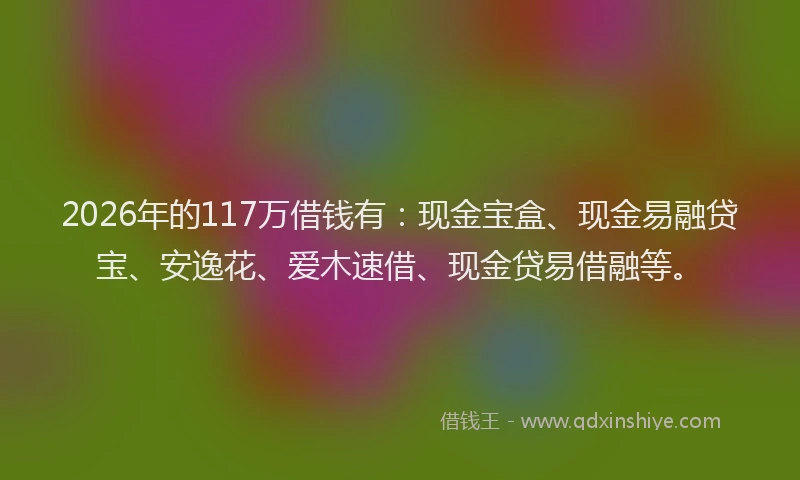 2026年的117万借钱有：现金宝盒、现金易融贷宝、安逸花、爱木速借、现金贷易借融等。