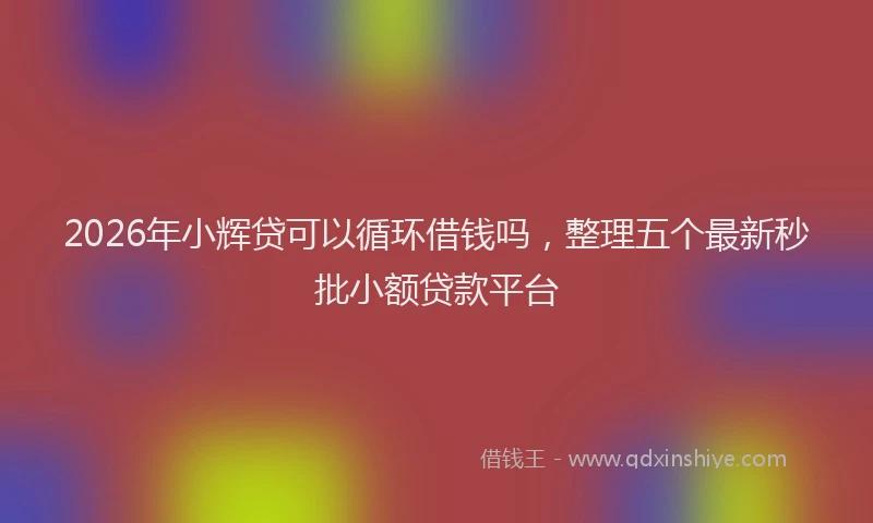 2026年小辉贷可以循环借钱吗，整理五个最新秒批小额贷款平台