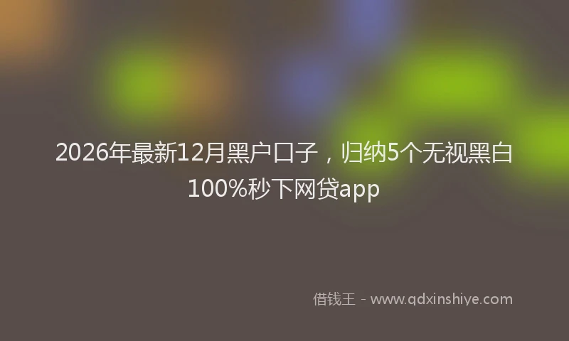2026年最新12月黑户口子，归纳5个无视黑白100%秒下网贷app