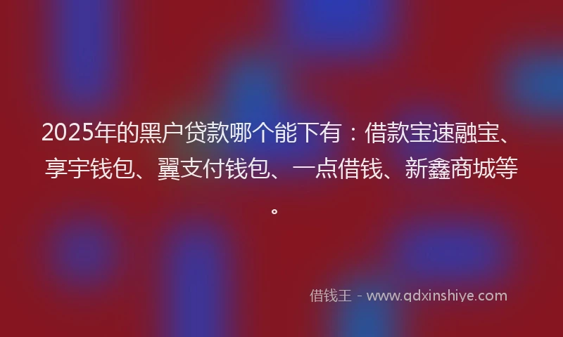 2025年的黑户贷款哪个能下有：借款宝速融宝、享宇钱包、翼支付钱包、一点借钱、新鑫商城等。