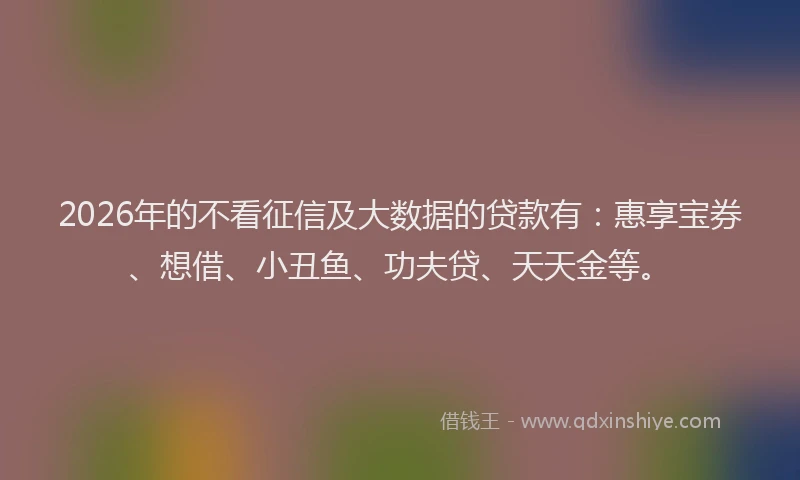 2026年的不看征信及大数据的贷款有：惠享宝券、想借、小丑鱼、功夫贷、天天金等。