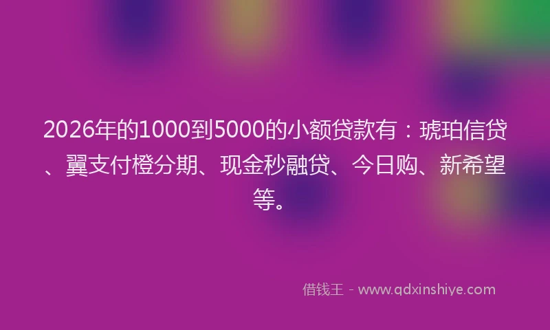2026年的1000到5000的小额贷款有：琥珀信贷、翼支付橙分期、现金秒融贷、今日购、新希望等。