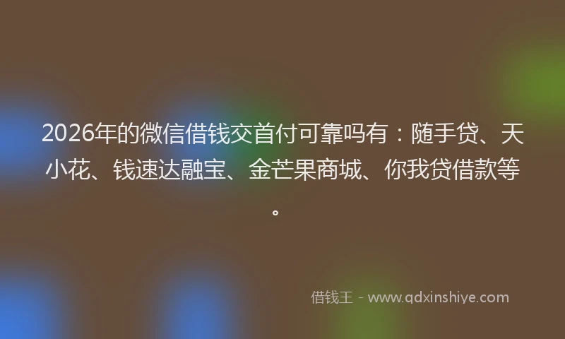 2026年的微信借钱交首付可靠吗有:随手贷、天小花、钱速达融宝、金芒果商城、你我贷借款等。