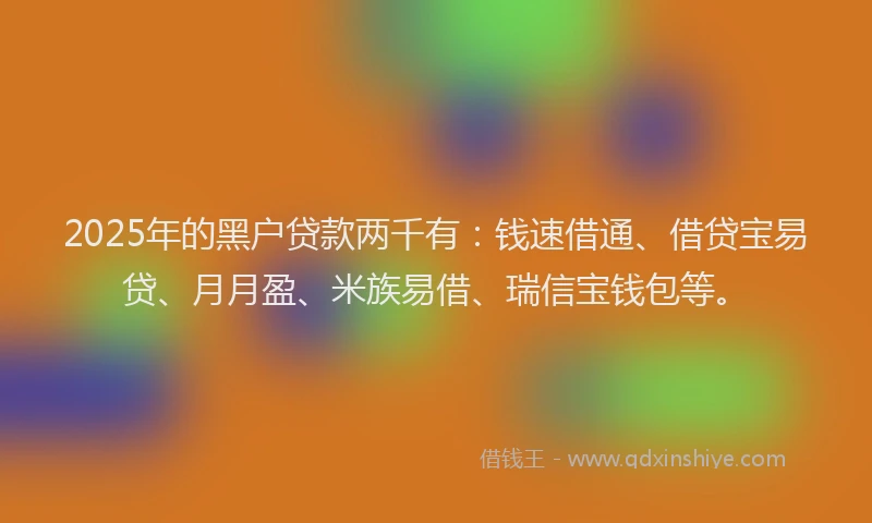 2025年的黑户贷款两千有：钱速借通、借贷宝易贷、月月盈、米族易借、瑞信宝钱包等。