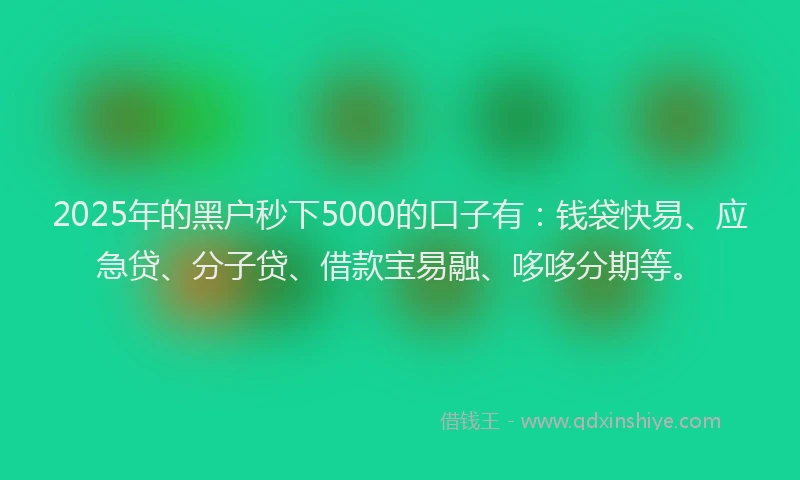 2025年的黑户秒下5000的口子有：钱袋快易、应急贷、分子贷、借款宝易融、哆哆分期等。