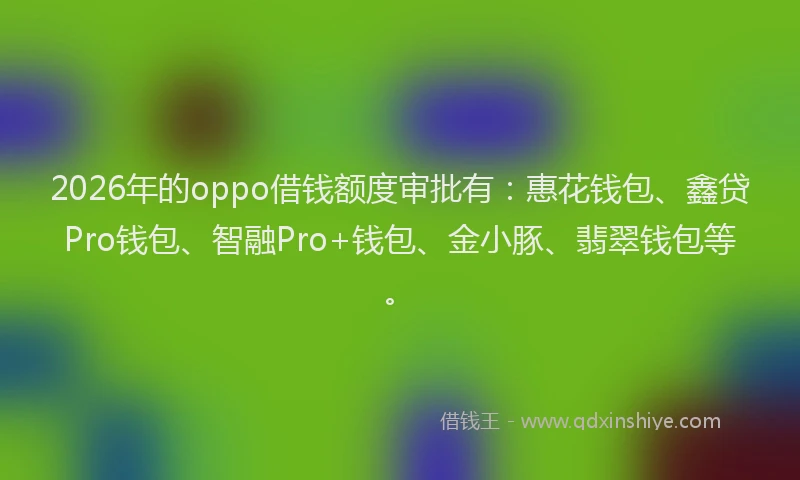 2026年的oppo借钱额度审批有:惠花钱包、鑫贷Pro钱包、智融Pro+钱包、金小豚、翡翠钱包等。