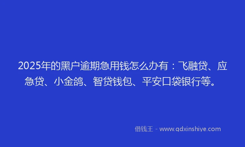 2025年的黑户逾期急用钱怎么办有：飞融贷、应急贷、小金鸽、智贷钱包、平安口袋银行等。