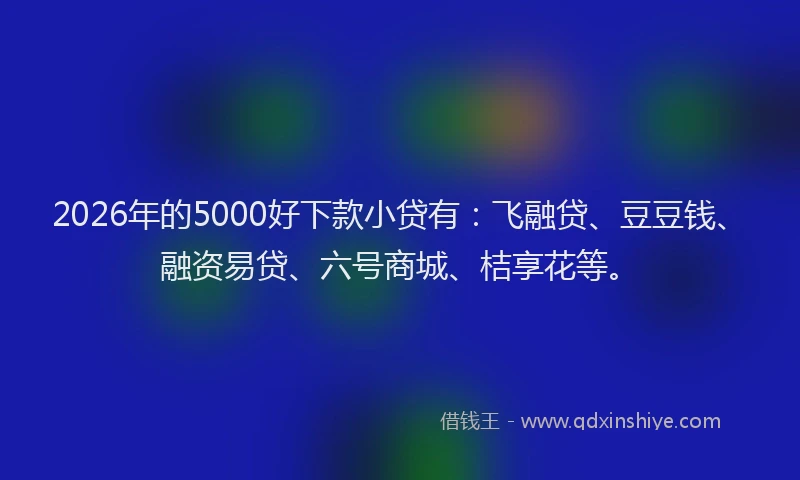 2026年的5000好下款小贷有：飞融贷、豆豆钱、融资易贷、六号商城、桔享花等。