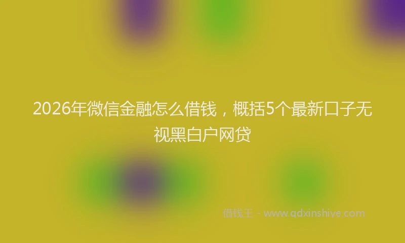 2026年微信金融怎么借钱，概括5个最新口子无视黑白户网贷